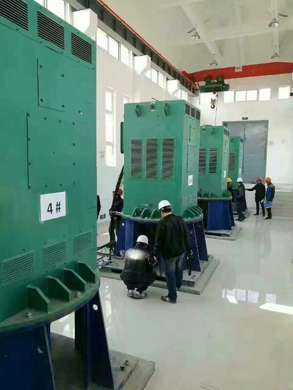 临江某污水处理厂使用我厂的立式高压电机安装现场